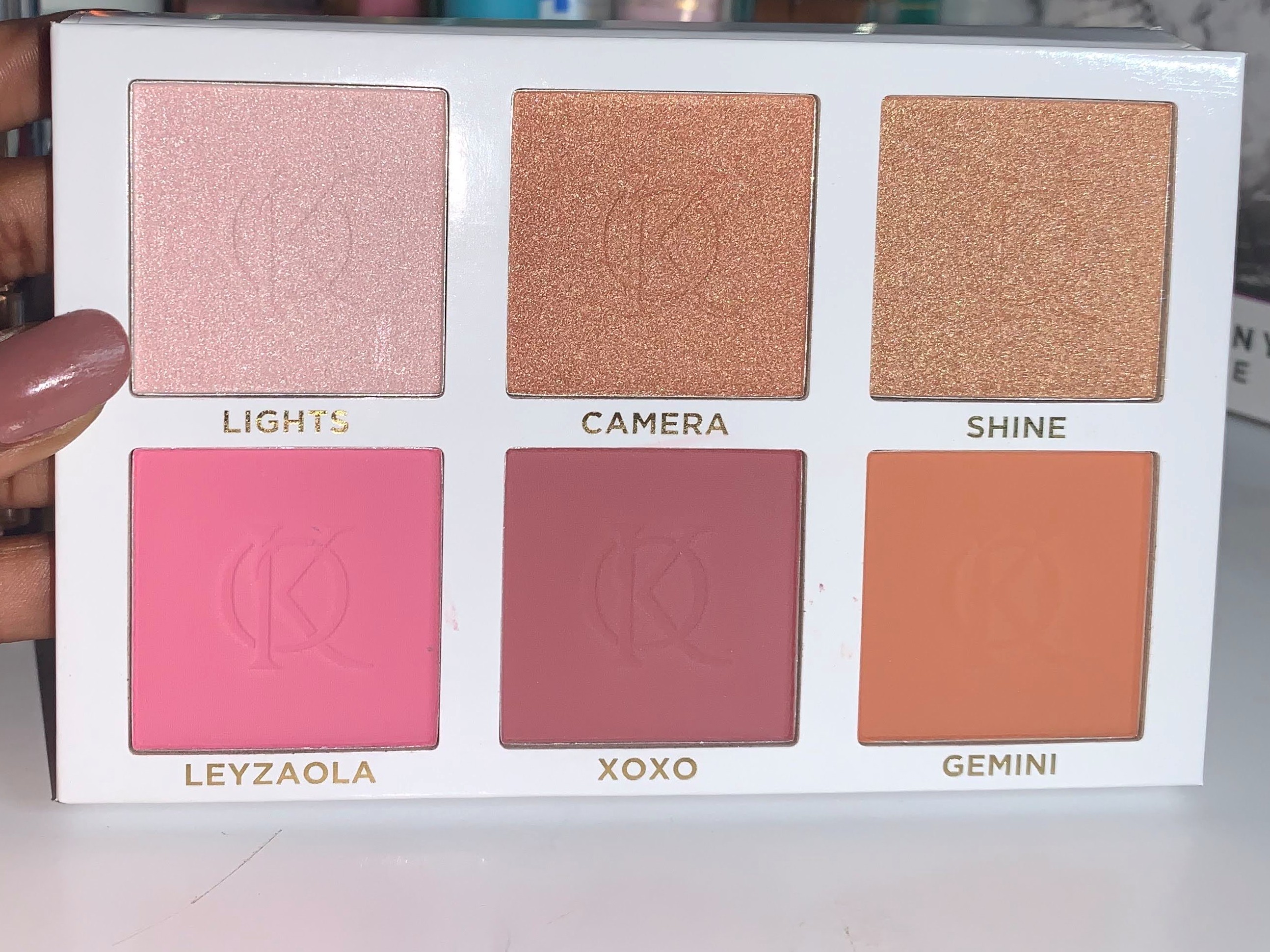 blush and shine kit (3)